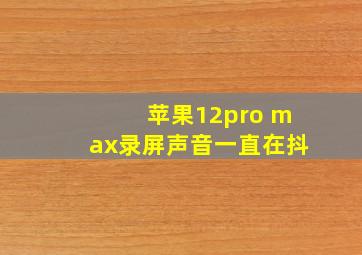 苹果12pro max录屏声音一直在抖